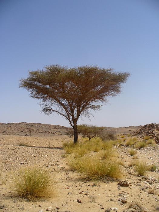 P1020393