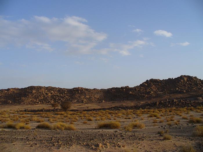 P1020399