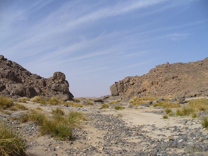 P1020415