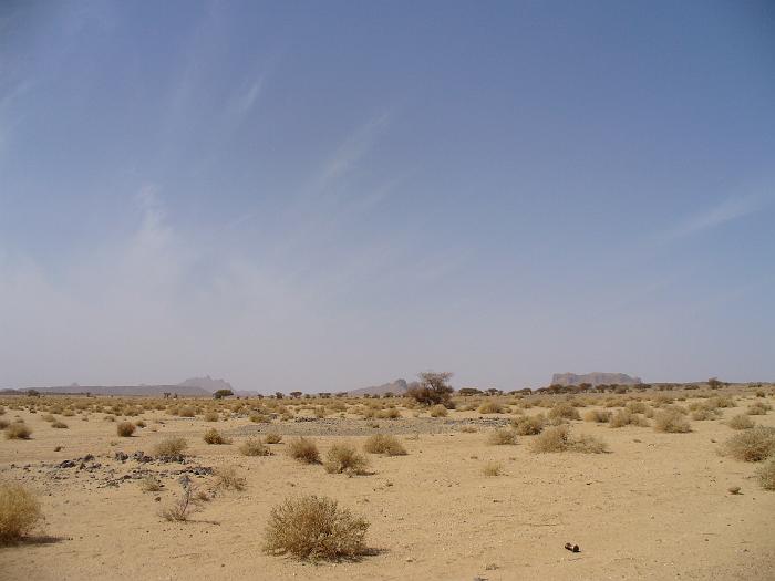 P1020419