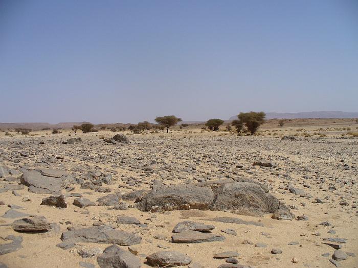 P1020427