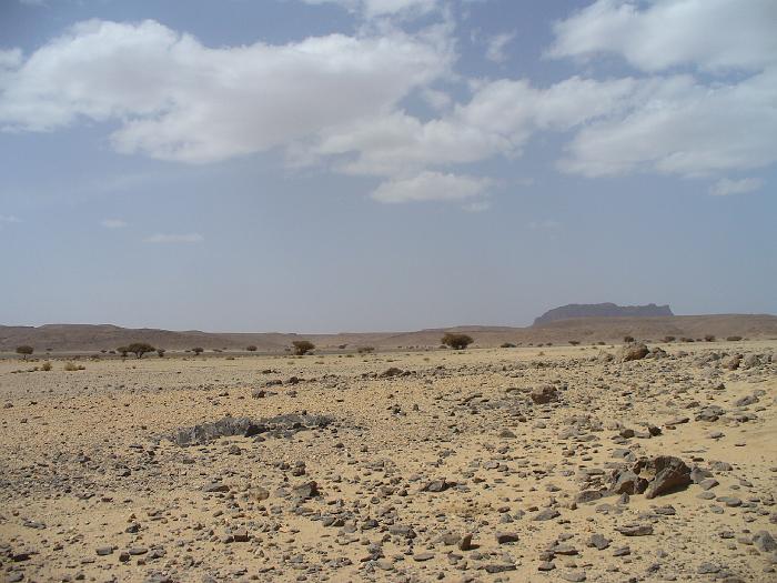 P1020428