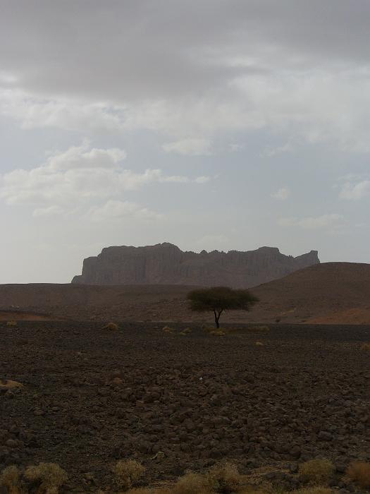 P1020431