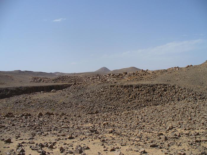 P1020462