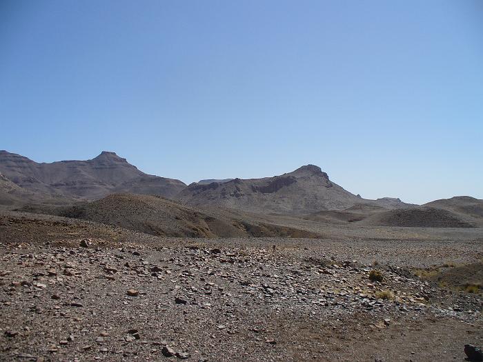 P1020558