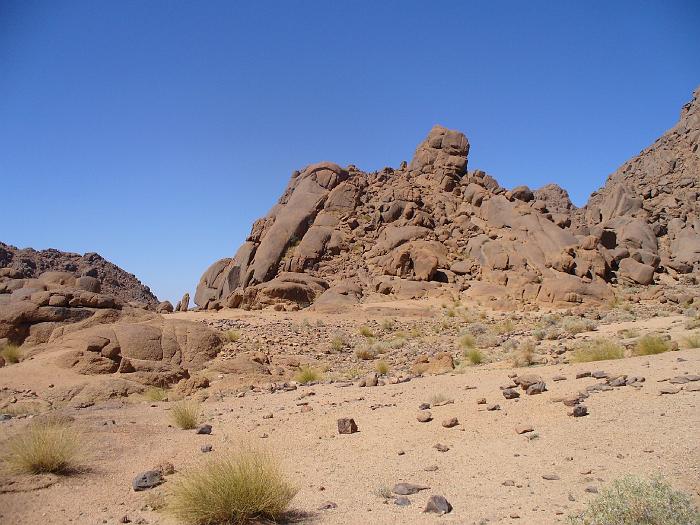 P1020651