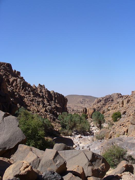P1020690