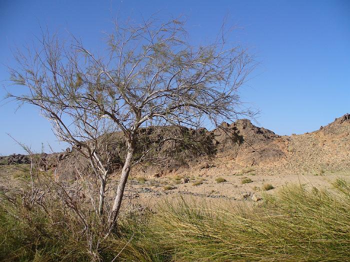 P1020717