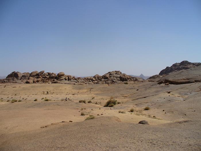 P1020739