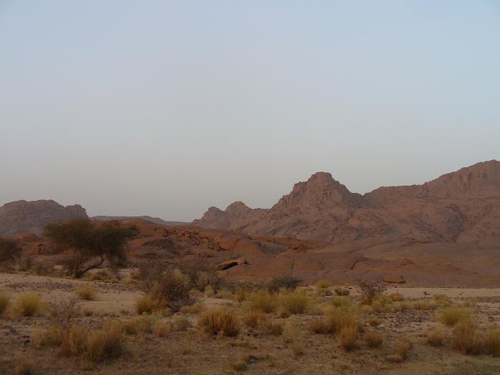 P1020753