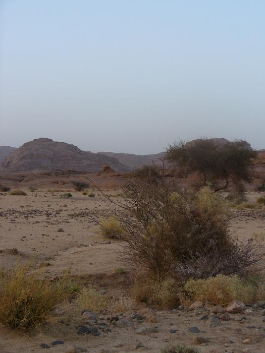 P1020757