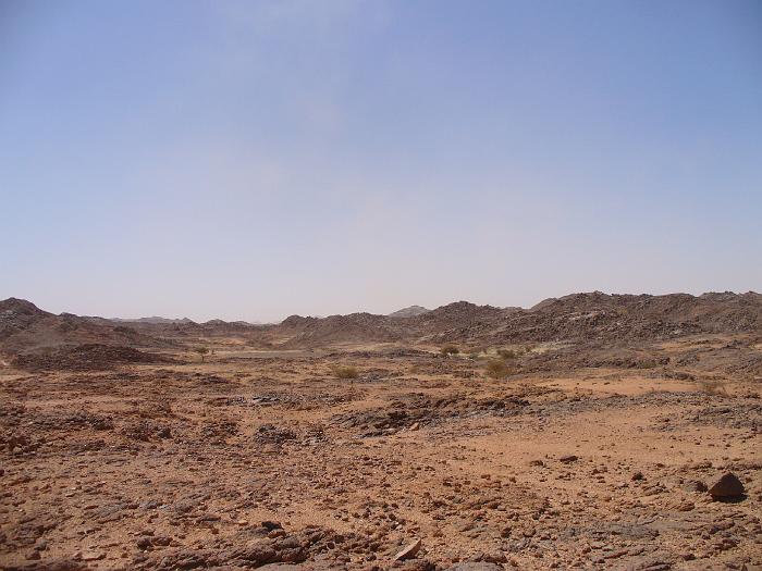 P1020786