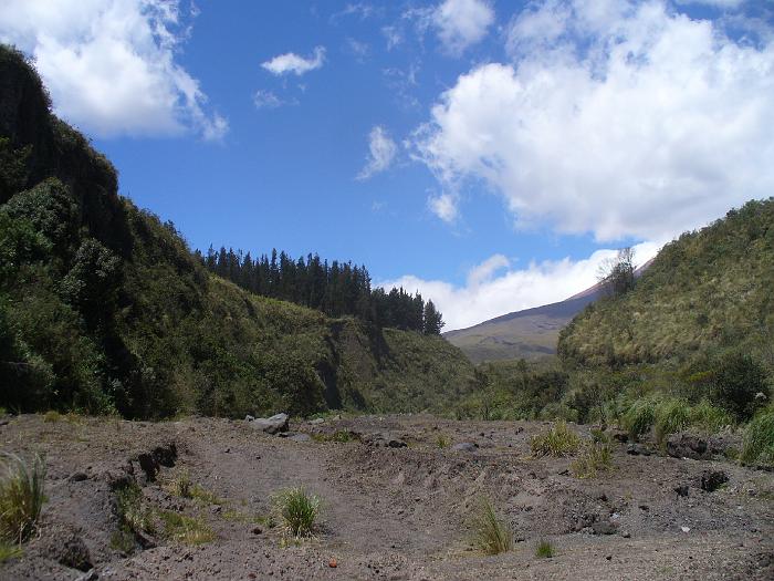 P1040533
