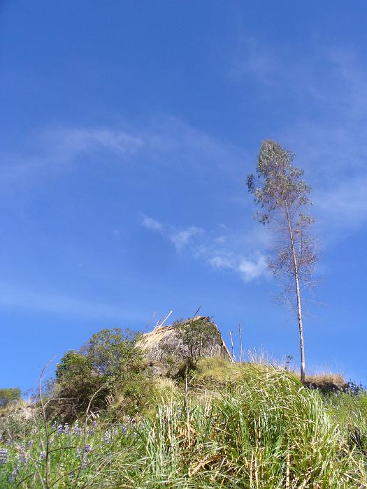P1040613