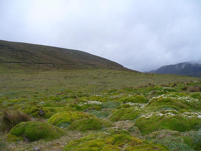P1040789