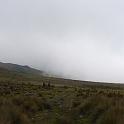 P1040779