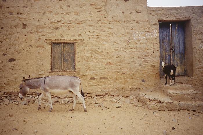 mau01_img009