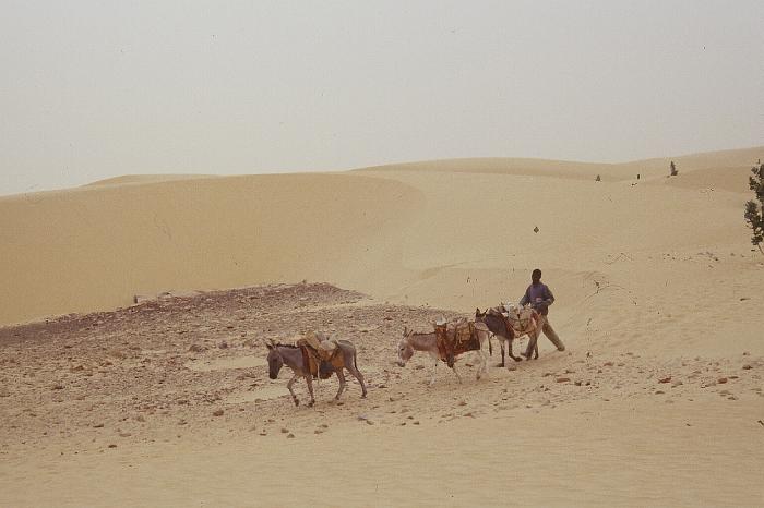mau01_img010