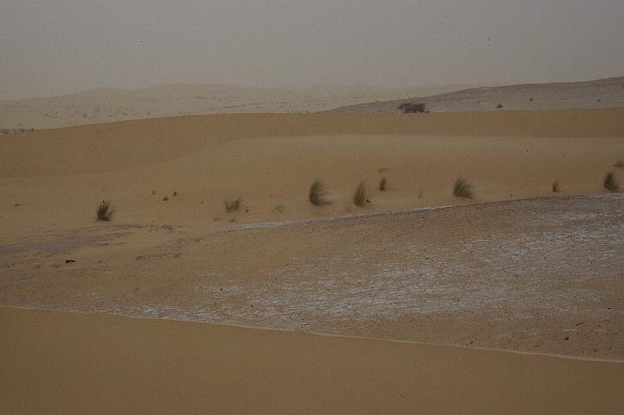 mau01_img013
