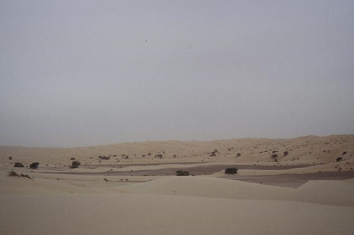 mau01_img028