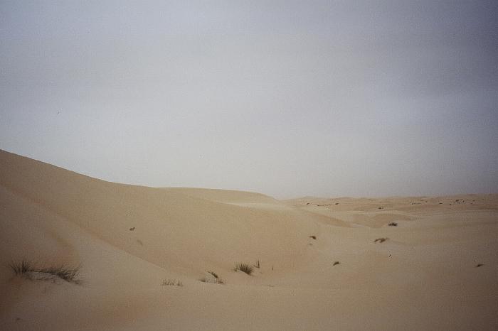 mau01_img029