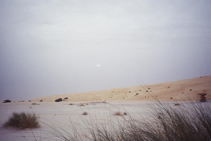 mau02_img014