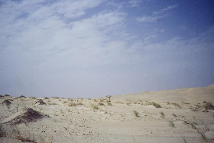 mau02_img025