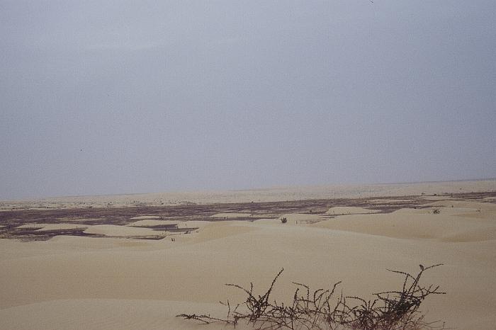 mau02_img026