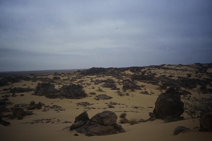 mau03_img001