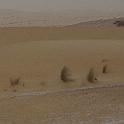 mau01_img013