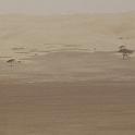 mau01_img017