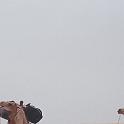 mau01_img020