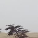 mau01_img031