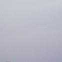 mau02_img028