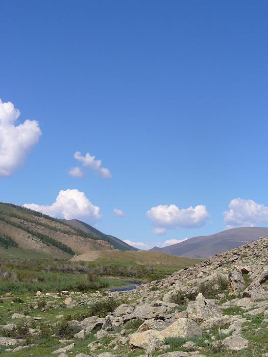 P1010852