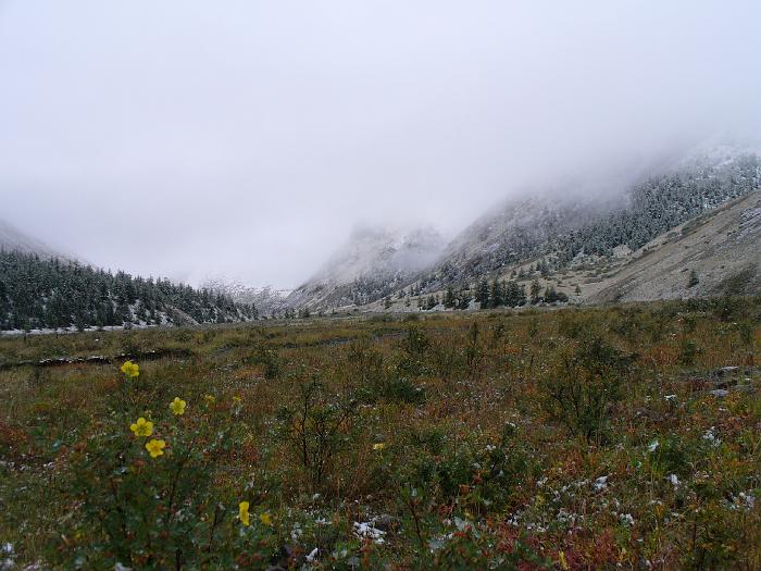 P1020019