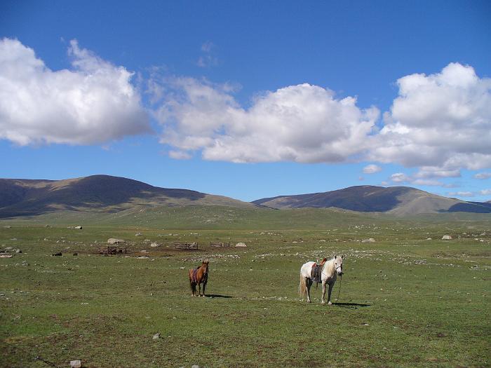 P1020051