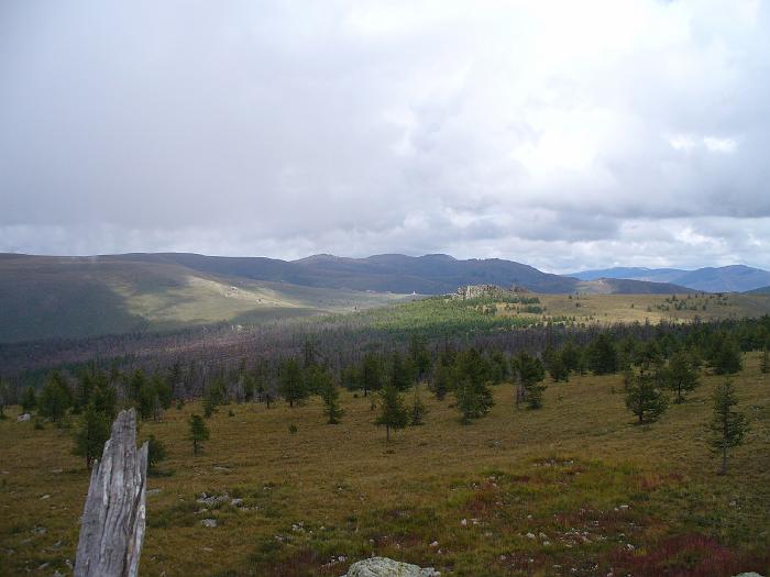P1020126
