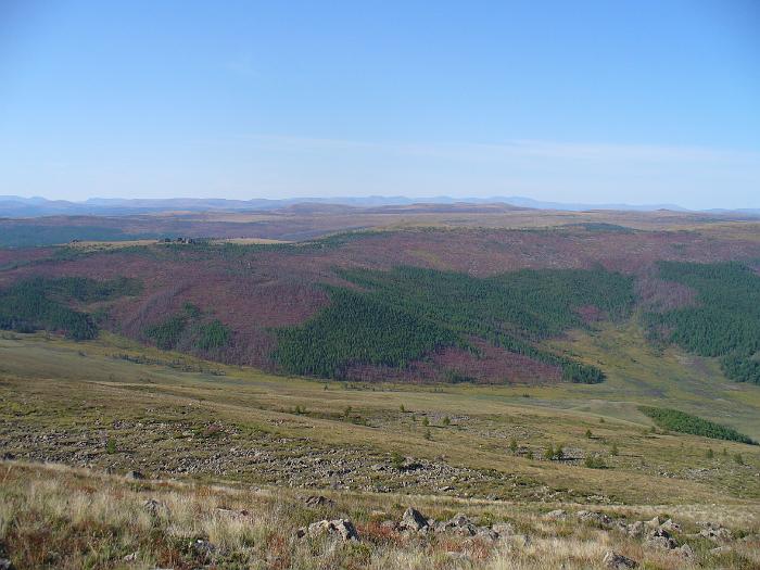 P1020129