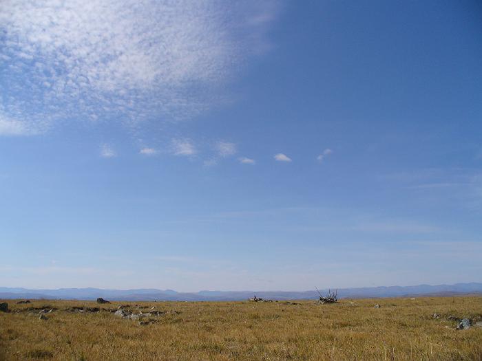 P1020130