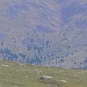 P1010883