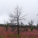 P1020119
