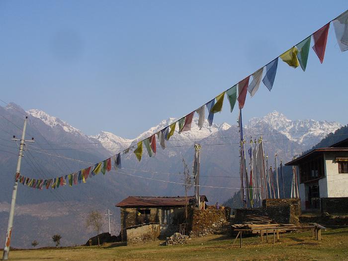 P1030733