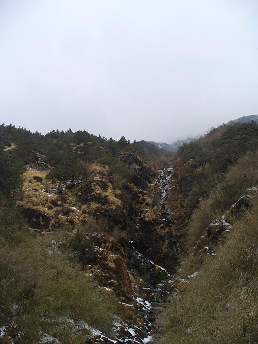 P1030826