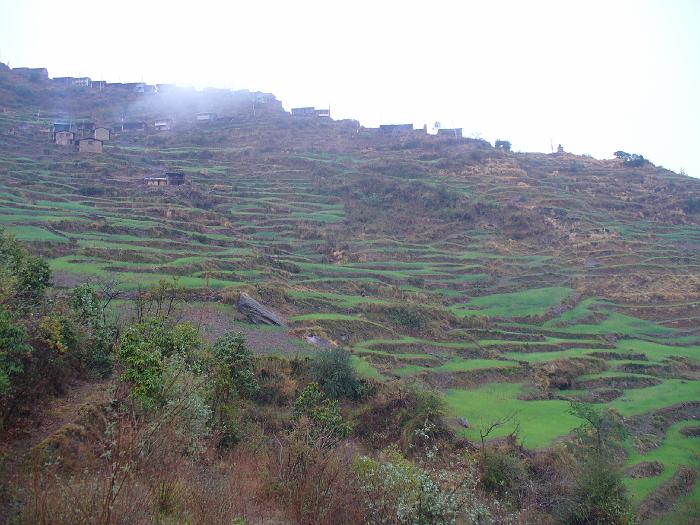 P1040002