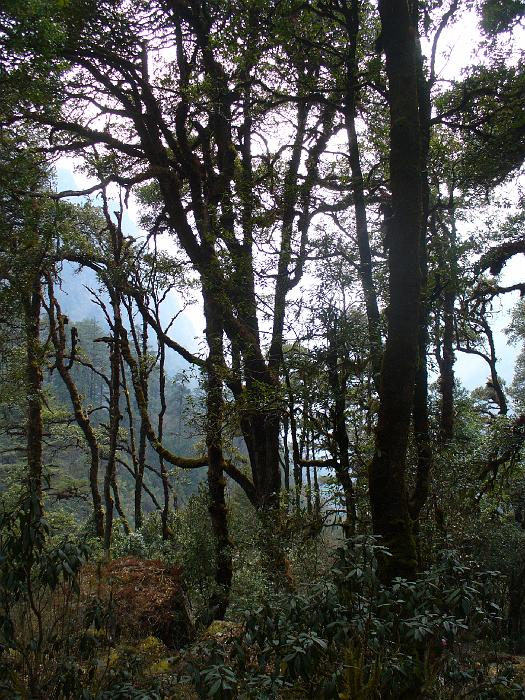 P1040065