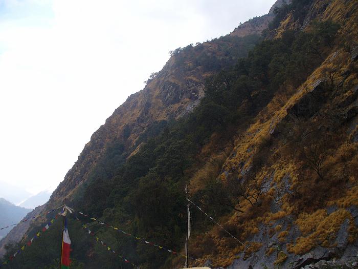 P1040077