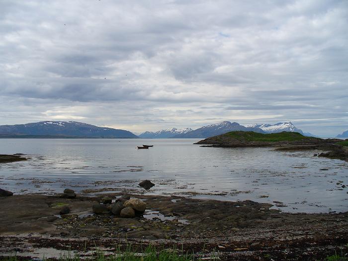 NORV-016
