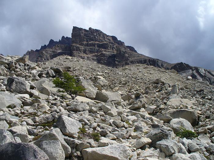 P1000798