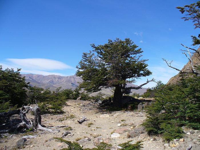 P1000886